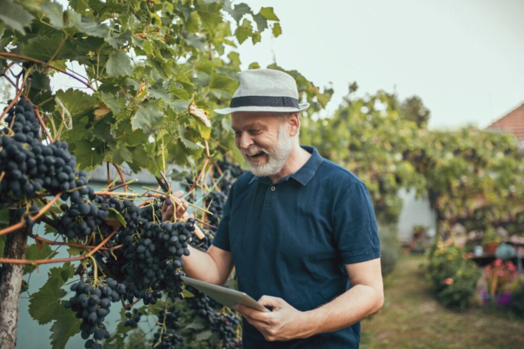 la-startup-agrotech-kilimo-recibe-una-inversion-de-kamay-ventures